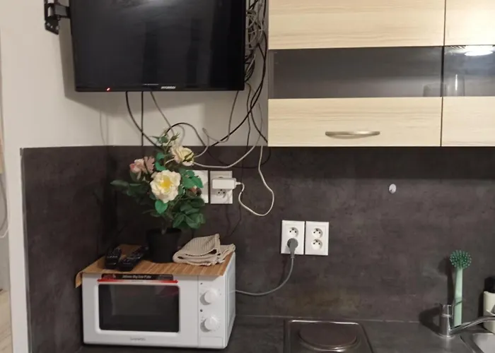 Basement Close To Train Station アパート ブラチスラヴァ